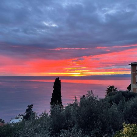 Villa Mortola Camogli Luaran gambar